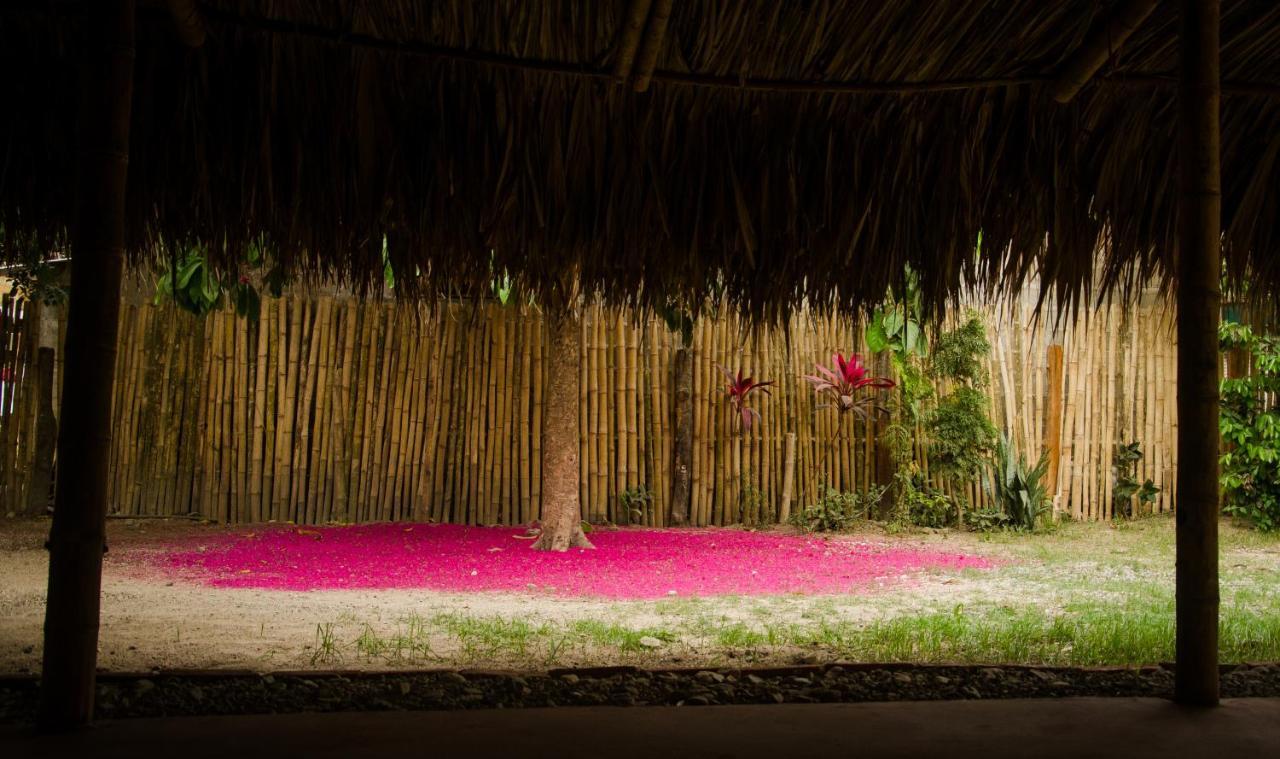 Hostal Corazón de Tagua Palomino Exterior foto